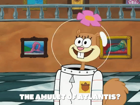 season 5 GIF by SpongeBob SquarePants