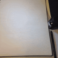 everything know GIF
