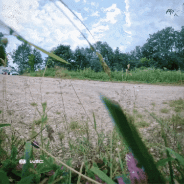 Coming On The Way GIF by FIA World Rally Championship