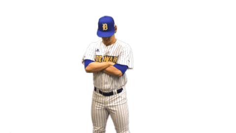 College Sports Baseball Sticker by Delaware Blue Hens