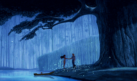 colors of the wind GIF