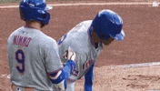 Juan Soto Hug GIF by New York Mets