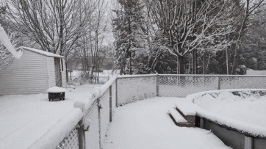 jbonnier giphygifmaker giphygifmakermobile GIF