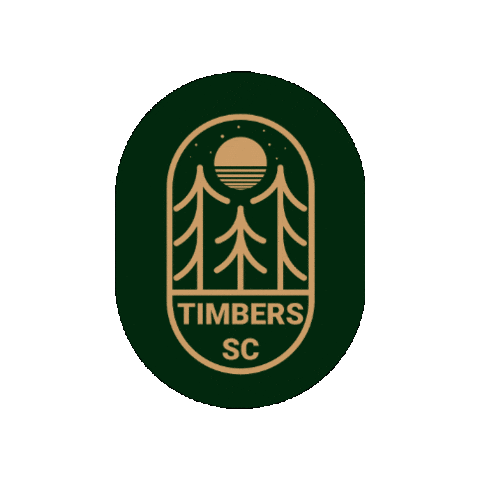 Diazateam Sticker by Diaza Football