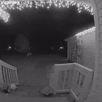 Man Misses Last Step on Ladder