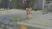 Get Back Cat GIF by Xbox