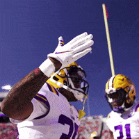 Lsu Football GIF by LSU Tigers