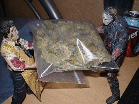 halloween rolling GIF by WeedFeed