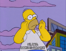 homer simpson GIF