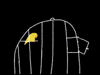 Free To Go Yellow Bird GIF by Barbara Pozzi