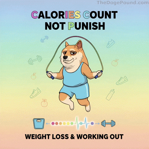 Jumping Shiba Inu GIF by Doge Pound