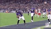 Baltimore Ravens Football GIF by NFL