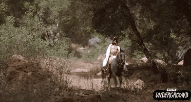 Cult Classic GIF by Turner Classic Movies