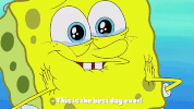 season 9 episode 24 GIF by SpongeBob SquarePants