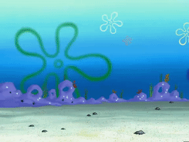 season 6 penny foolish GIF by SpongeBob SquarePants