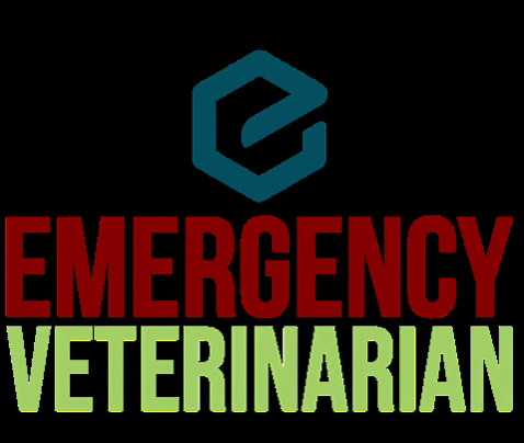 Veg Veterinarian GIF by Ethos Vet Health