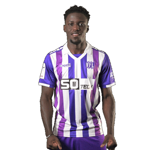 Tor Osna Sticker by VfLOsnabrueck