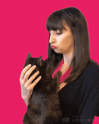 Cat Kiss GIF by Jenn Robbins