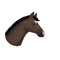 White Horse Sticker by winterlichtmalerei