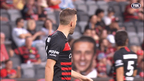 Western Sydney Wanderers Fist Bump GIF by wswanderersfc