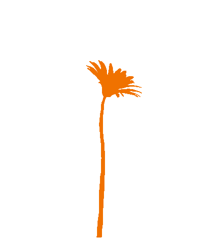 Flower Oerrr Sticker by Natuurmonumenten