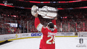 Stanley Cup Playoffs Win GIF by NHL