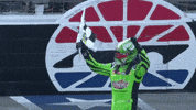 kyle busch sport GIF by NASCAR