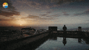 GIF by Show TV