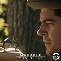 bug study GIF by Ovation TV