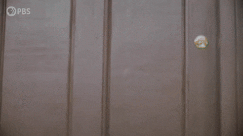 Episode 8 Hello GIF by PBS