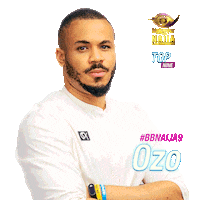 Bbnaija Sticker by Big Brother Naija