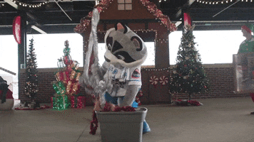 Sprocket Trash Pandas GIF by Rocket City Trash Pandas