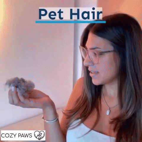 PetGiph giphygifmaker GIF