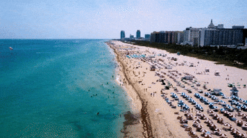 Miami Beach Swimming GIF by ATLAST