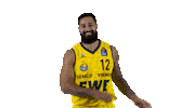 Ewe Baskets Basketball Sticker by EWE Baskets Oldenburg