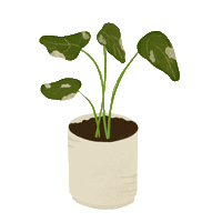 Plant Sticker