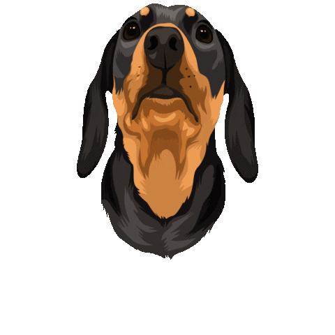 Picklepp Sticker by Pickle's Pawtraits