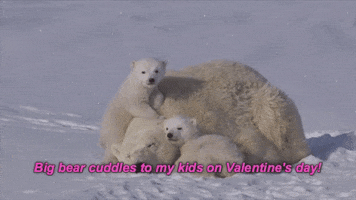valentines day kids GIF by Studio 360