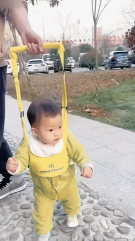 Toddler walking with training harness