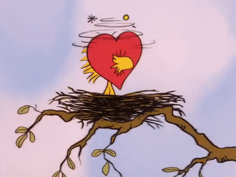 charlie brown GIF by Peanuts