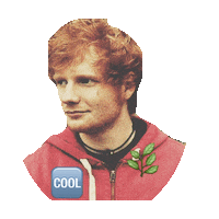 ed sheeran STICKER by imoji