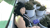 Lmao Laughing GIF