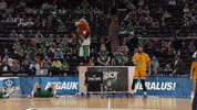Real Madrid Dancing GIF by EuroLeague