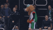 happy euroleague basketball GIF by EuroLeague