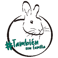 Familia Conejos Sticker by Bunny Lovers