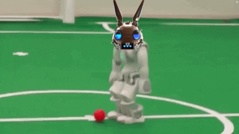 Football Lol GIF by HPPRS