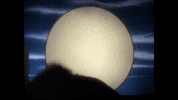 New Wave Whip GIF by Thompson Twins