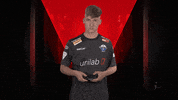 Fifa Wtf GIF by Bundesliga