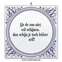 Humor Nl GIF by Tegelspreuken.nl