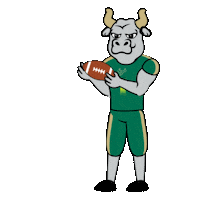 Football Go Sticker by University of South Florida